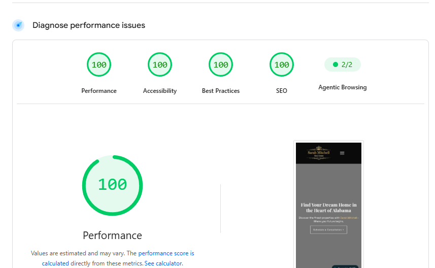 Screenshot showing website performance results
